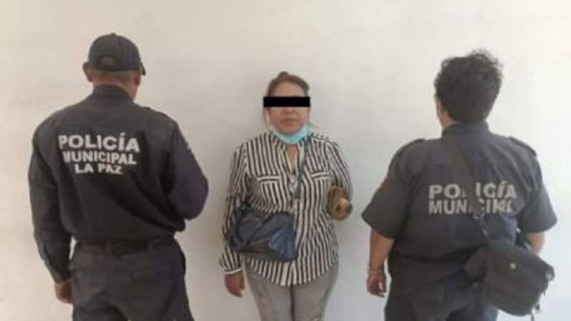 Mujer detenida