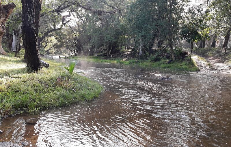 De momento el conocido balneario de los Chorros de Tala se encuentra cerrado por la fuga de hidrocarburos.