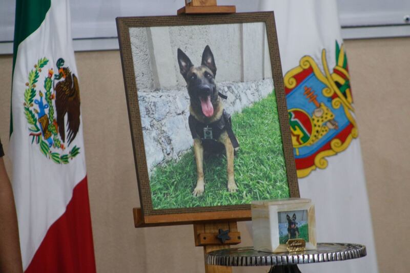 Fiscalía de Guerrero homenajea a agente canino Nidan