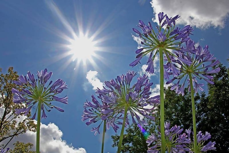 Activan en Argentina alerta roja por altas temperaturas