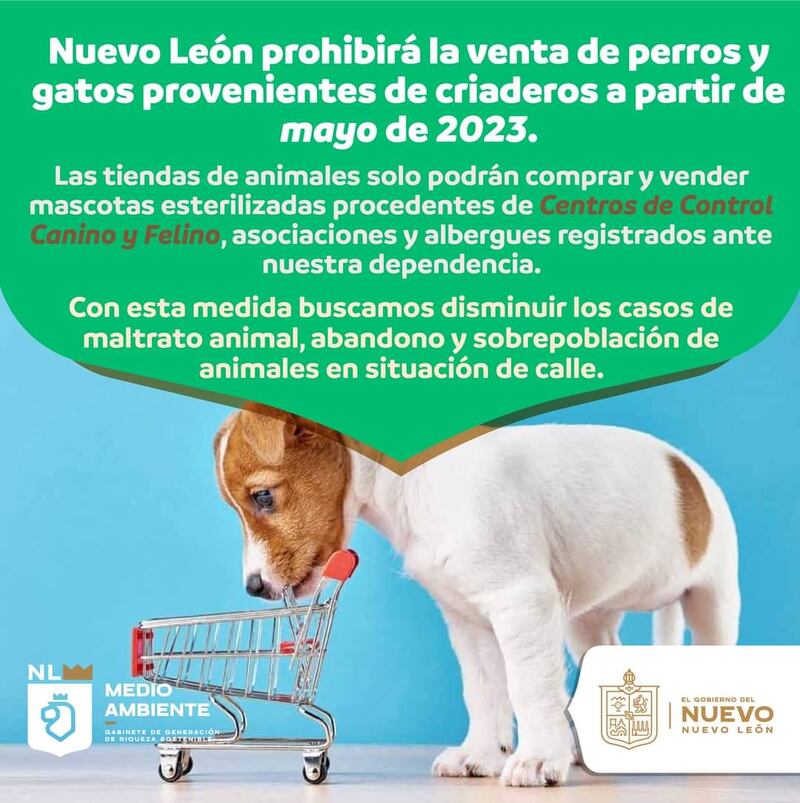 La prohibición entrará en vigor a partir de mayo de 2023 y se busca reducir la población de animales callejeros.