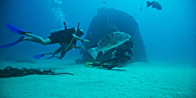 Buceo en Baja California