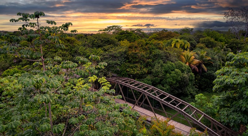 Conoce este eco-resort ubicado en Puerto Jiménez, Costa Rica donde la conservación y el lujo se fusionan en un entorno natural impresionante. Desde caminatas por la selva hasta cenas gourmet con ingredientes locales, este destino sorprenderá al ecoturista