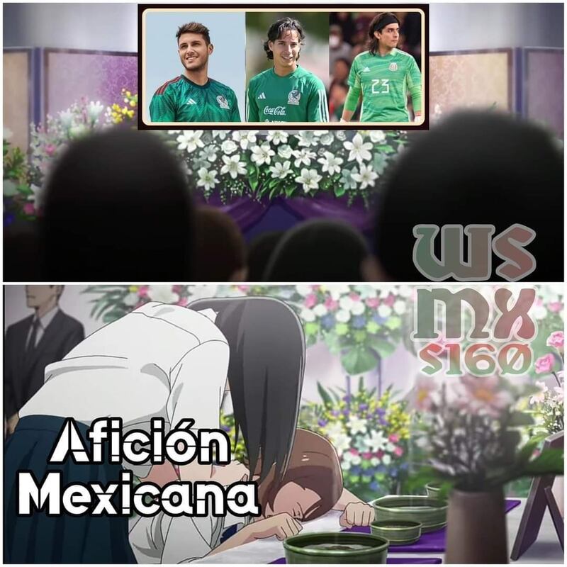 MEMES SELECCION MEXICANA