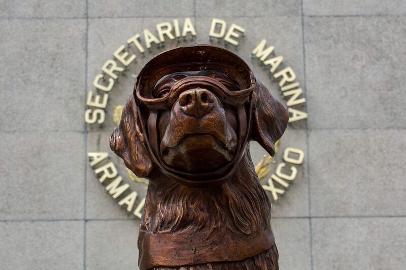 Frida: Secretaría de Marina ofrece ceremonia en honor a perrita