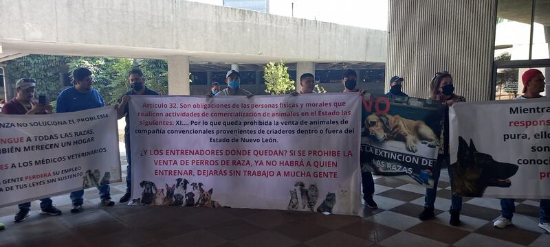 De acuerdo a Unidos por el Bienestar Animal la manifestación no tendría por qué haberse llevado a cabo en Congreso.