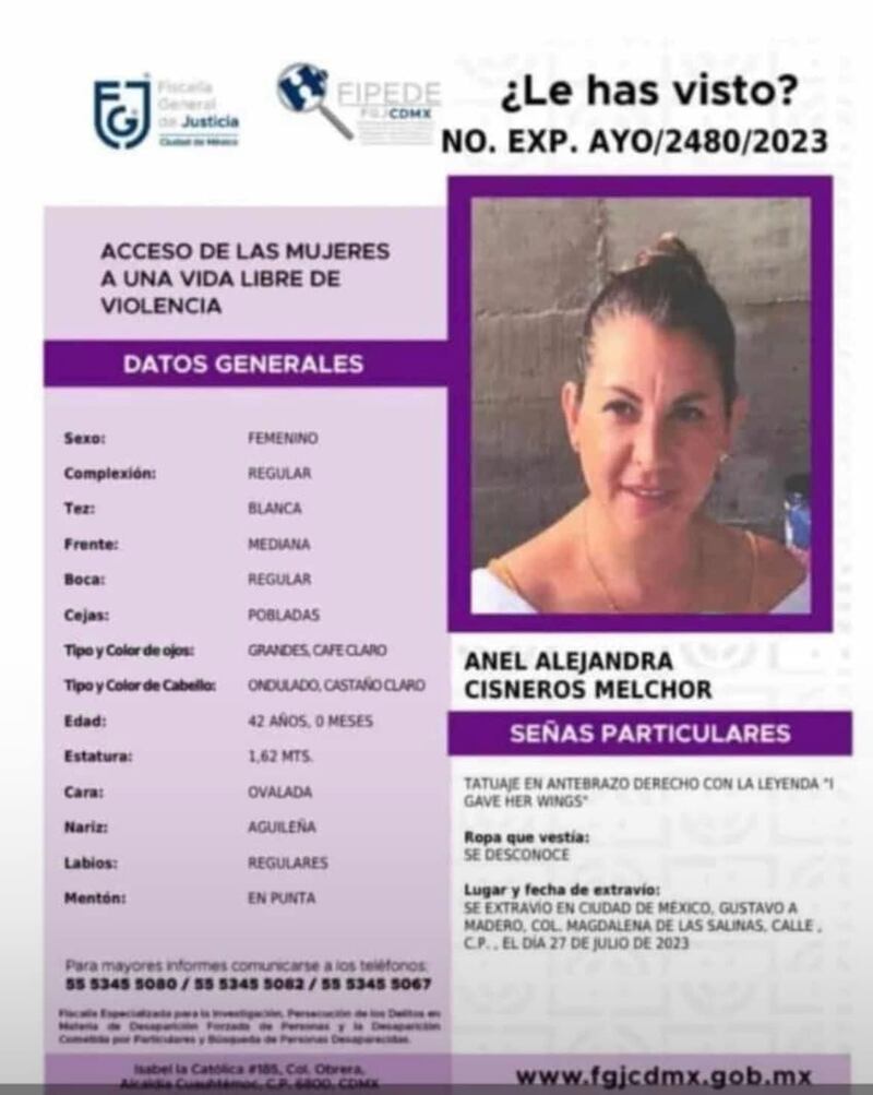 Ficha de búsqueda de Anel Alejandra.