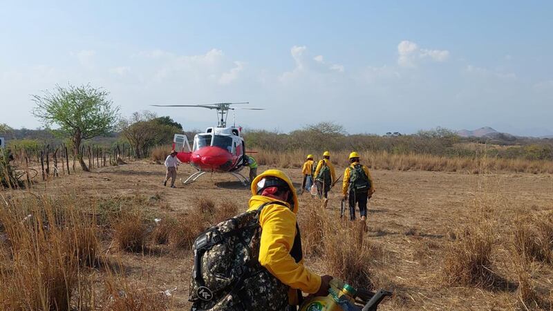 ¿Cómo combaten los incendios forestales en Oaxaca?