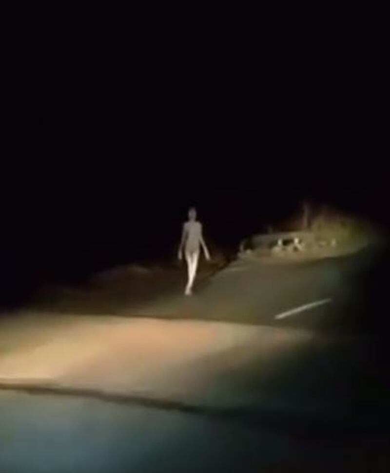 Video de un extraterrestre en India que se hizo viral en TikTok