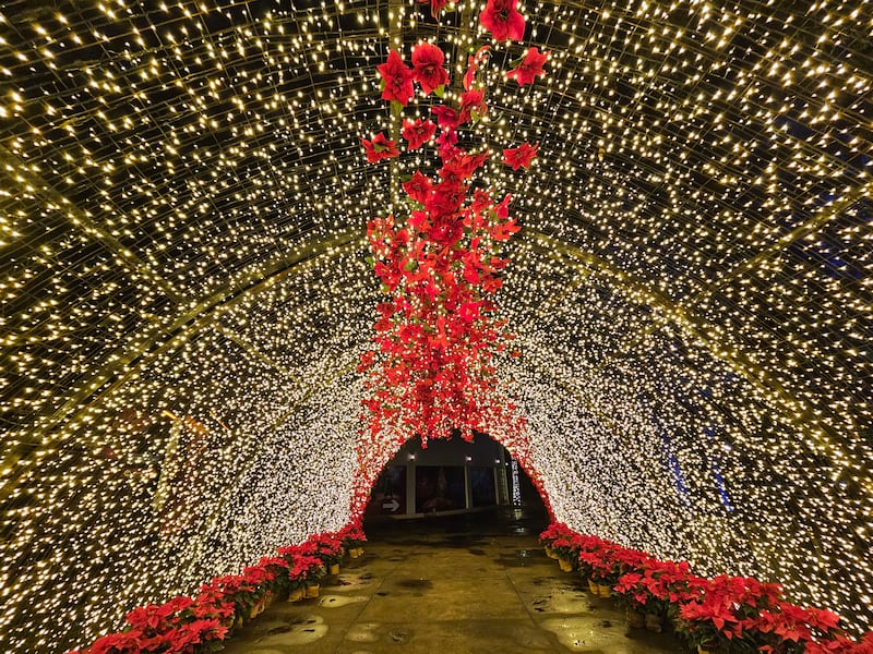 El parque temático se ha convertido en una tradición en esta época del año.