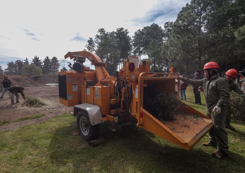 Reciclan árboles de Navidad en Edomex para fabricar juguetes