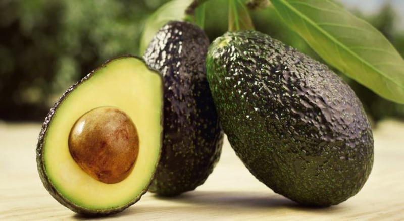 Ahora los aguacates los puedes conservar un poco más | Foto: Yara Nutrición