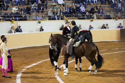 Mia Rubin no ocultó su emoción y nerviosismo al ver a su novio, Tarik Othón, debutar como rejoneador profesional en la primera noche de su carrera. Ante un lleno total en la Plaza de Toros de Provincia Juriquilla, Tarik tomó la alternativa de manos de Diego Ventura, quien actuó como padrino, mientras que Diego San Román fue el testigo. La tarde estuvo llena de emoción, destacando la destreza y entrega de Othón en su presentación ante el público.