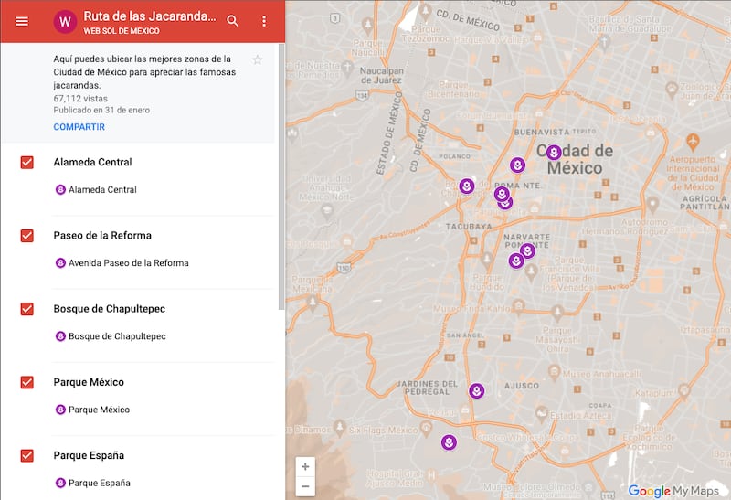 Ruta de la Jacarandas: Mapa CDMX para ver árboles morados de la temporada 2024