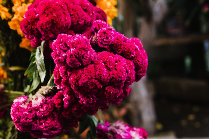 Cómo hacer ofrenda de muertos