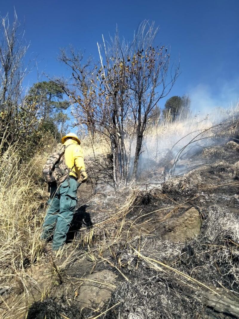 Brigadas mexiquenses abaten incendios en Izta-Popo y Donato Guerra, reporta avance del 95% de control