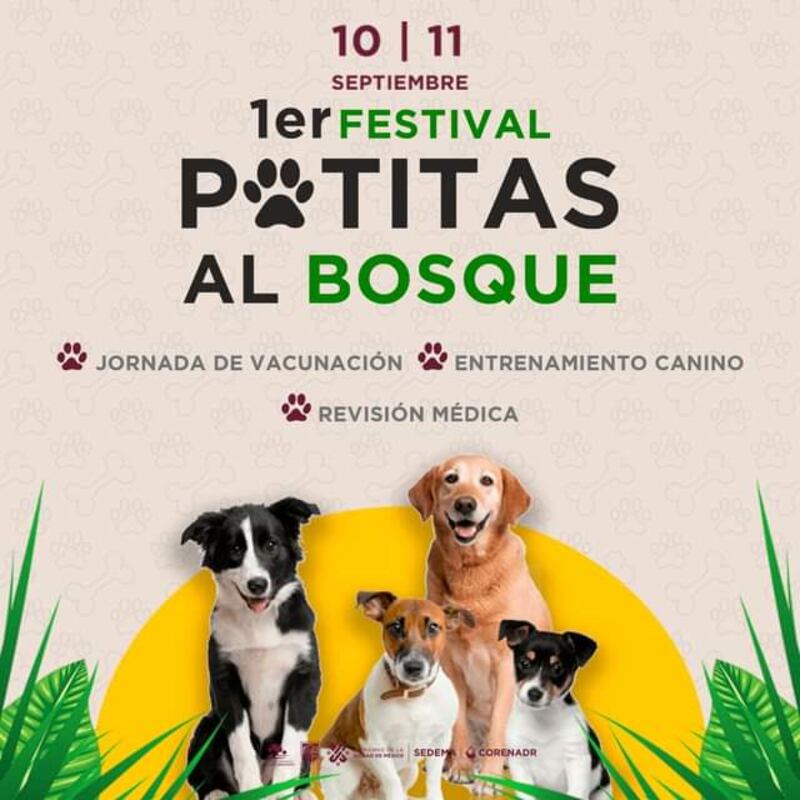 Primer Festival Patitas al Bosque