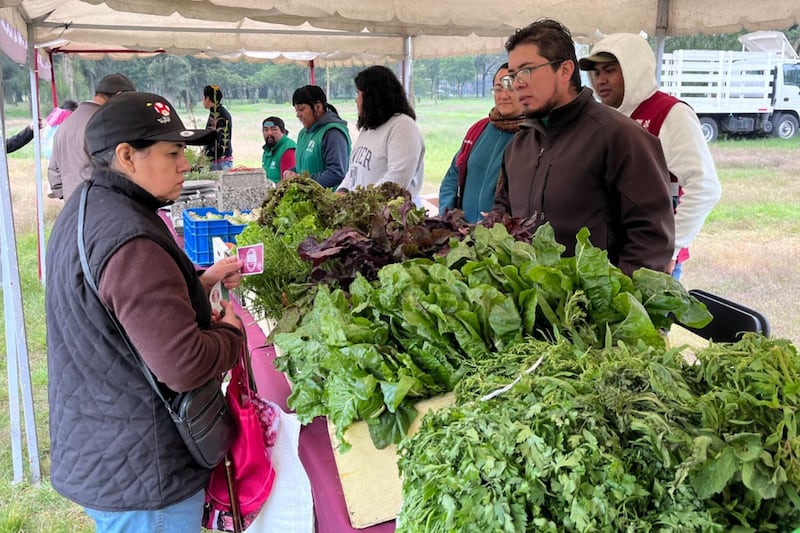 Mercado de Trueque CDMX