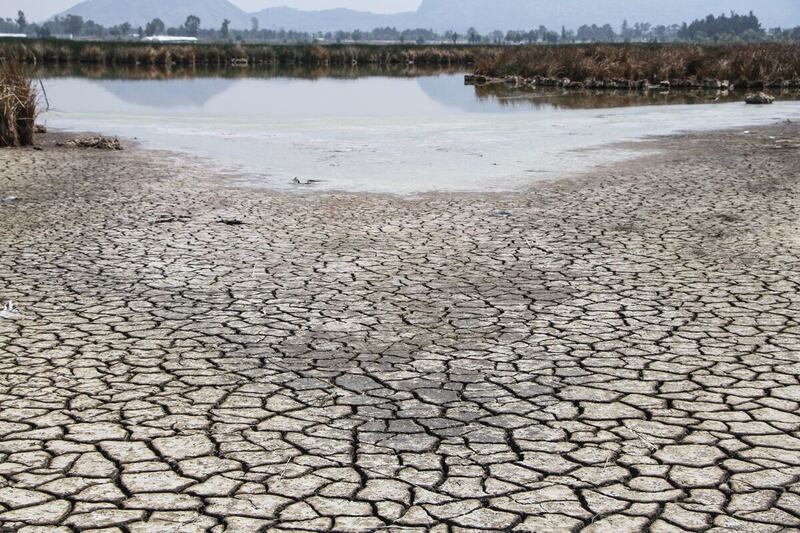 Intel y Kilimo en busca de mejor calidad de agua en México