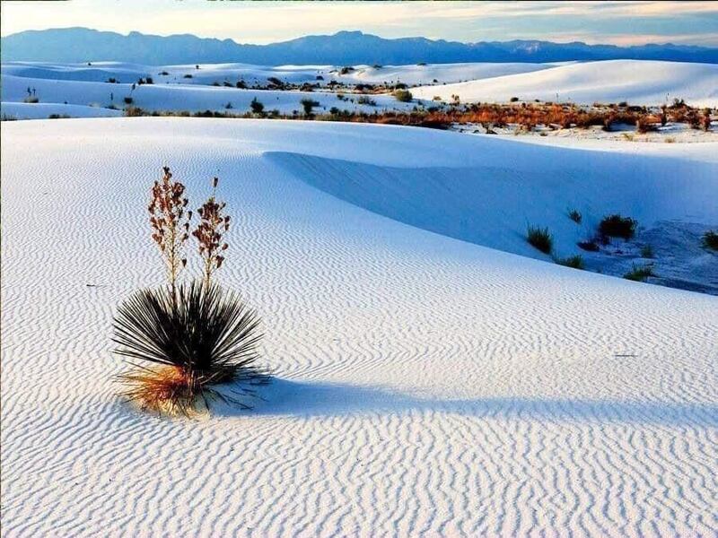 México y Argentina