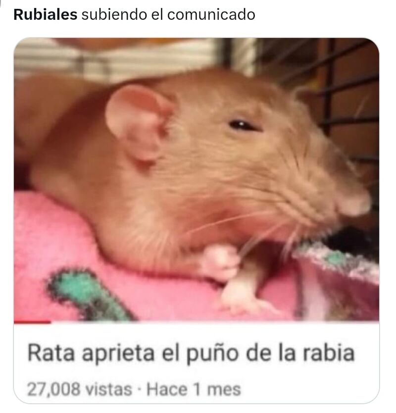 Memes renuncia Luis Rubiales