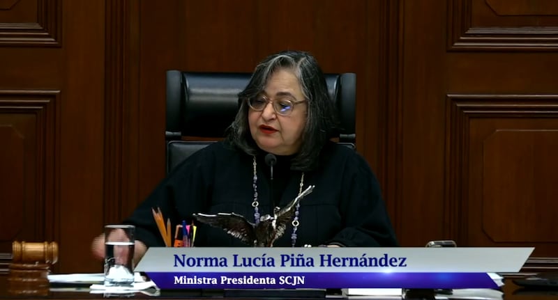 Norma Lucia Piña Hernández