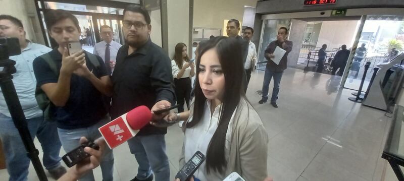 Lilia Olivares reconoció que es un tema poco conocido para algunos diputados.