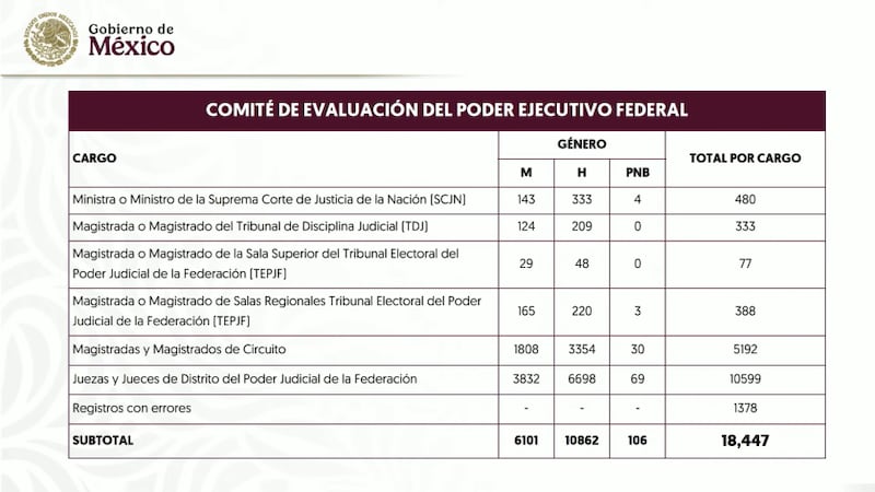 Registro Candidatos Poder Judicial