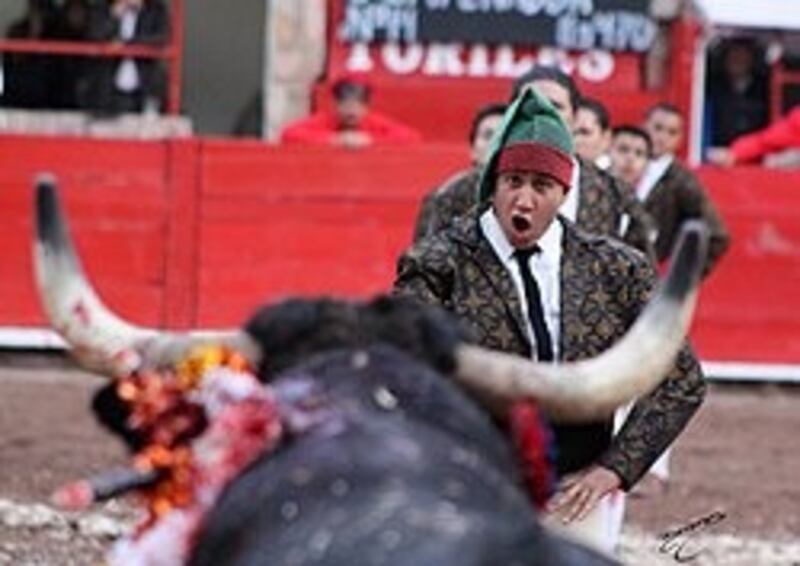 Los forcados también participan en las corridas de toros, exhibiendo habilidad humana