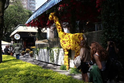 Tras dos años de ausencia las flores han regresado a colorear las calles de Polanco, en la Ciudad de México.