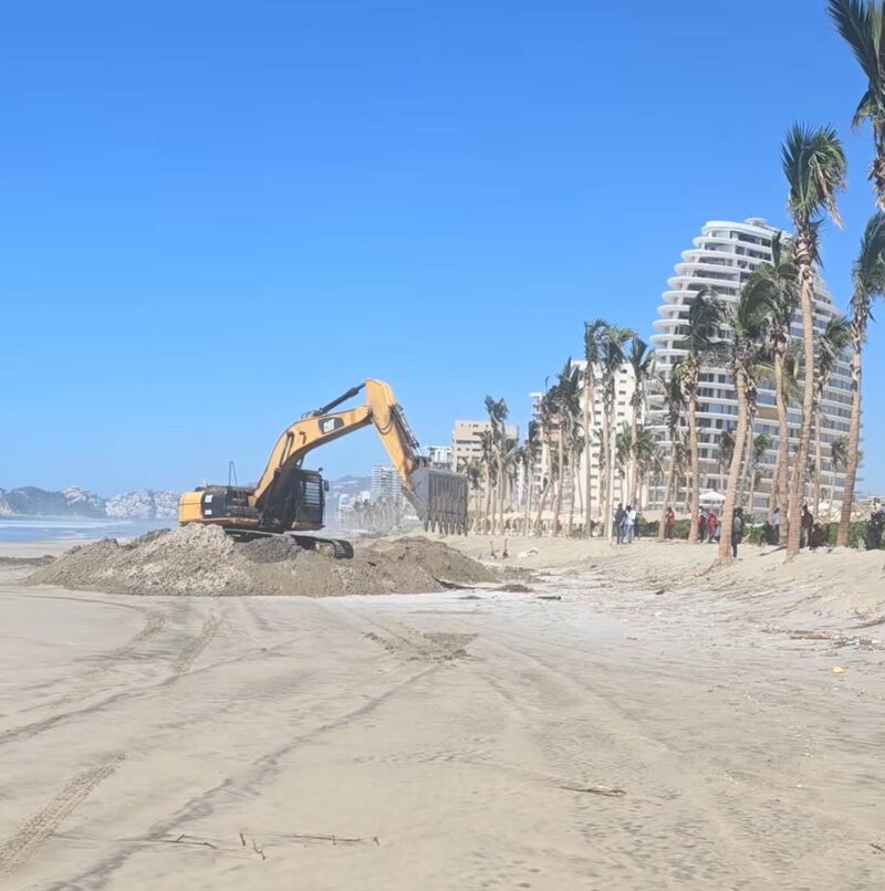 Polémico entierro de una ballena en las playas de Acapulco ¿era buena solución?