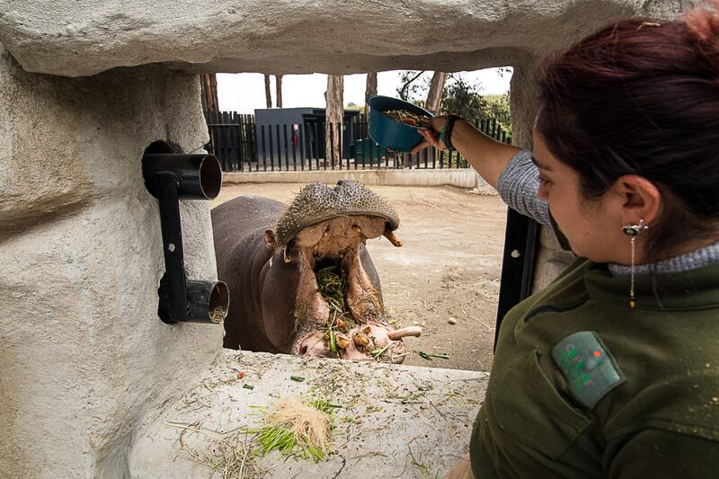 Parque Ecológico Zacango