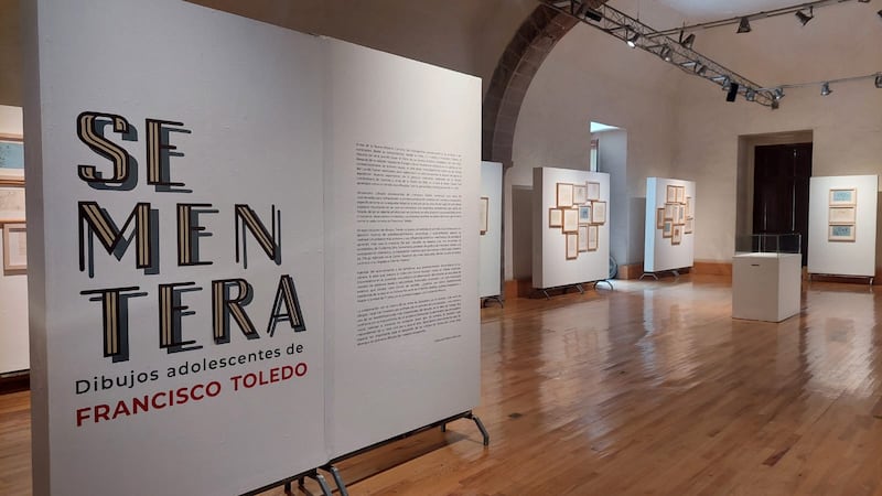 Exposición Sementera de Francisco Toledo