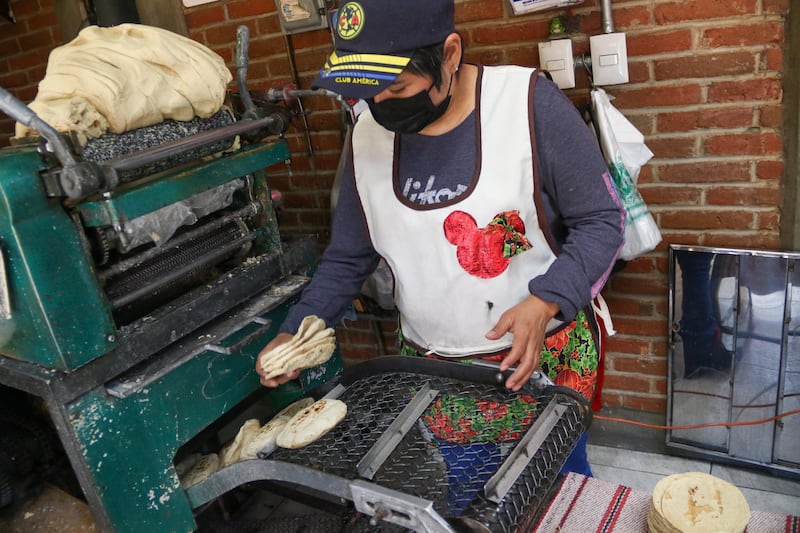 Jalisco dejó de ser uno de los principales productores de maíz y tortilla a nivel nacional.