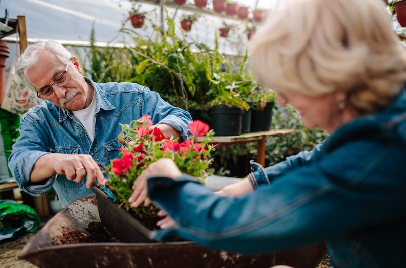 El evento para adultos mayores es libre de costo y habrá talleres y mercado agrícola.