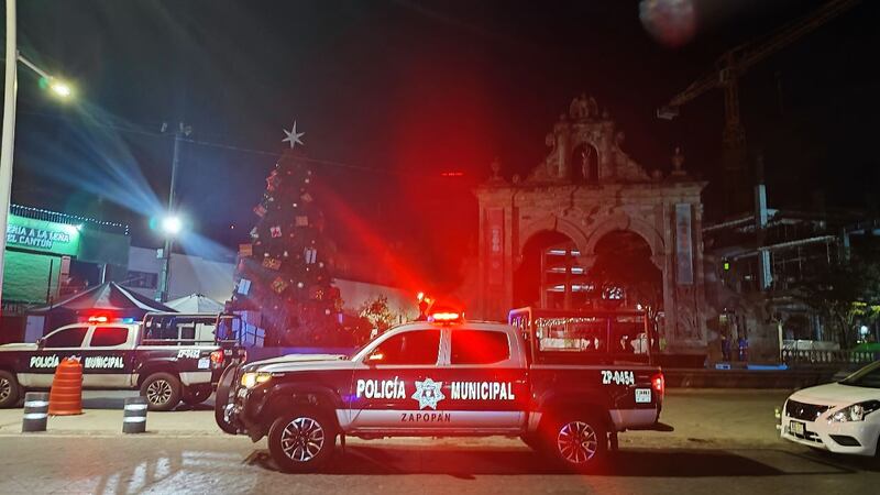 Autoridades no informaron si el árbol será retirado o se le dará mantenimiento.