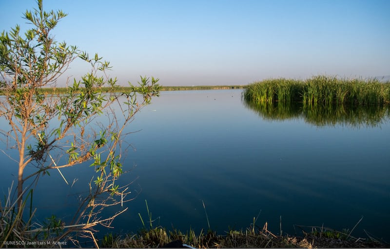 Lago de Texcoco