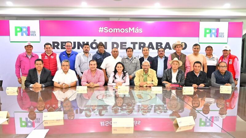 Morena, Partido Verde, Movimiento Ciudadano y de la sociedad civil en el Estado de México se unen a Ale del Moral