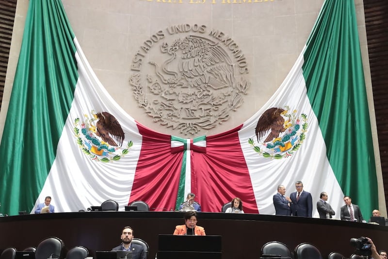 diputada Laura Hernández García