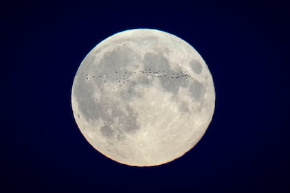 Superluna de octubre deslumbra al mundo