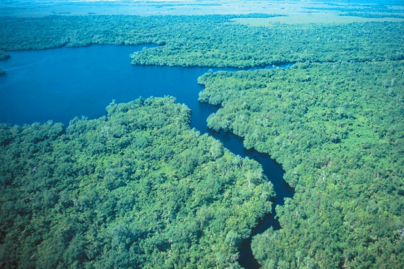 Pantanos de Centla