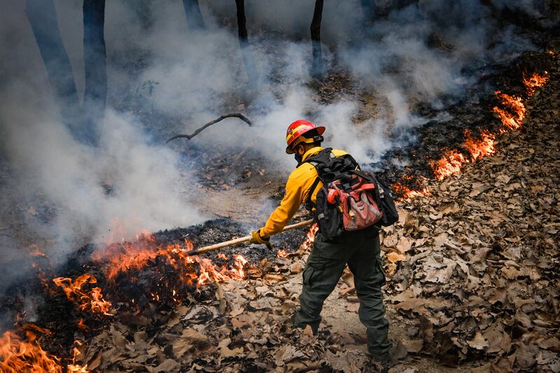 Se espera que en próximas horas los tres incendios puedan ser confinados y sofocados.