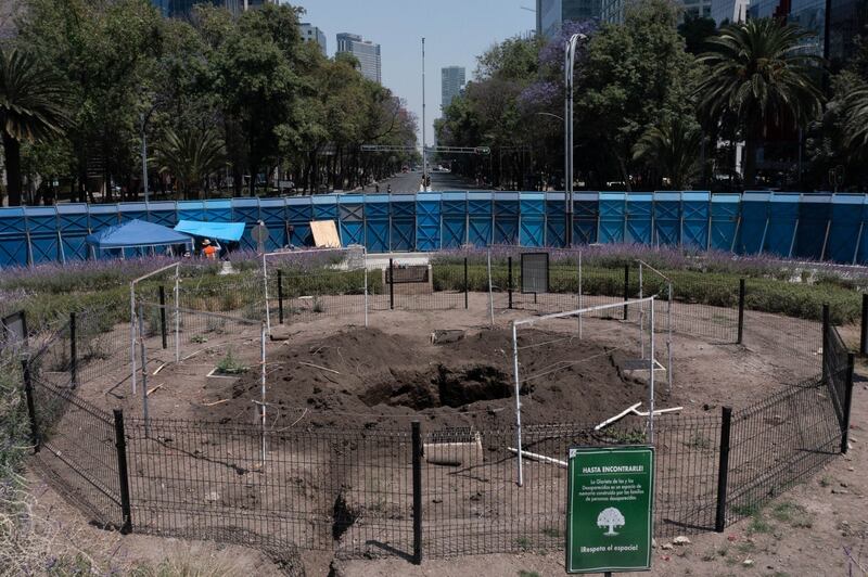 Ahuehuete motivos del retiro anticipado de Paseo de la Reforma