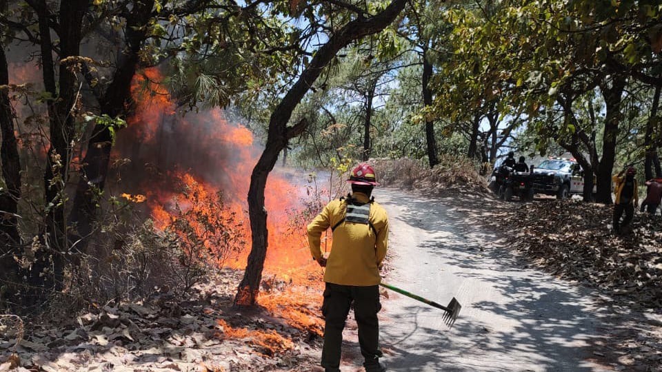 Reportan reducción de incendios en Jalisco. Foto: Cuenta de X (@EnriqueAlfaroR)