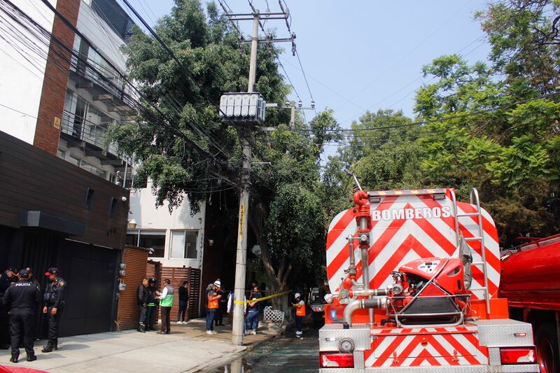 Incendio en la colonia Nápoles deja 6 perritos sin vida y dos lesionados