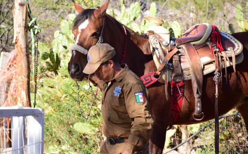 Policía Montada en Guanajuato.