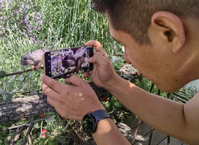 El último teléfono insignia de Huawei, el Mate 50 Pro, incorpora poderosas herramientas para la creación de contenido y una cámara con la que podrás crear fotos a tu gusto y con mucha creatividad.