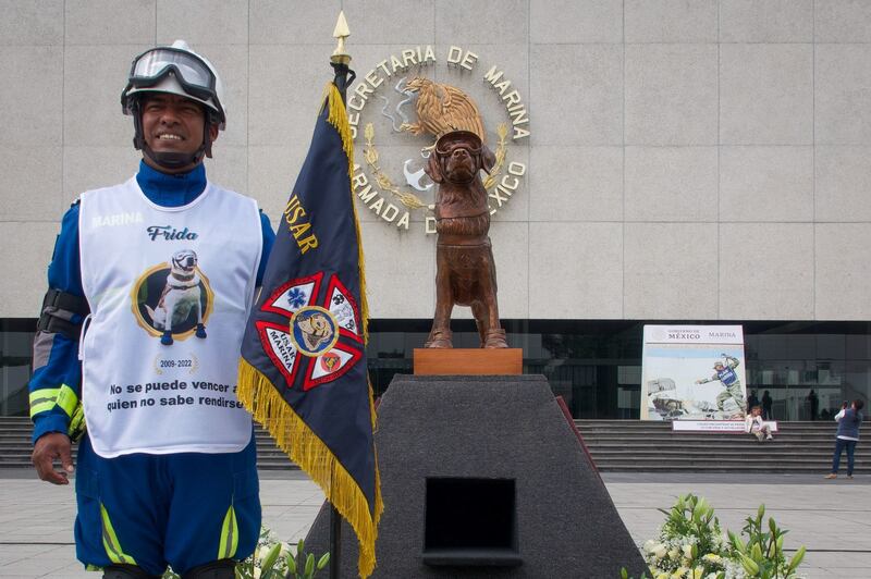 Frida: Secretaría de Marina ofrece ceremonia en honor a perrita