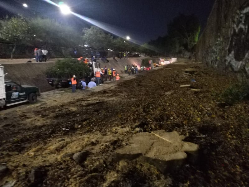 Tala de árboles en Malecón del río, en León, Guanajuato. (Cortesía)