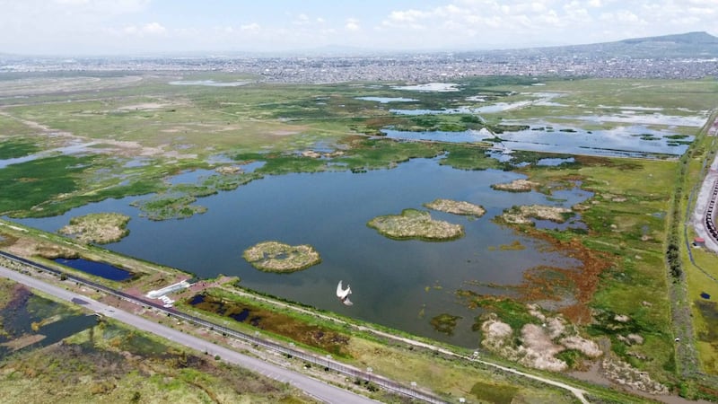 El parque ecológico de Texcoco, una obra inconclusa más de este gobierno